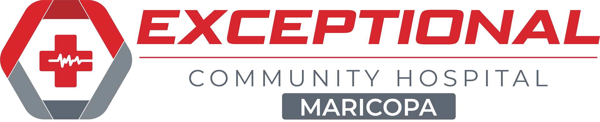 ECH logo ECH logo